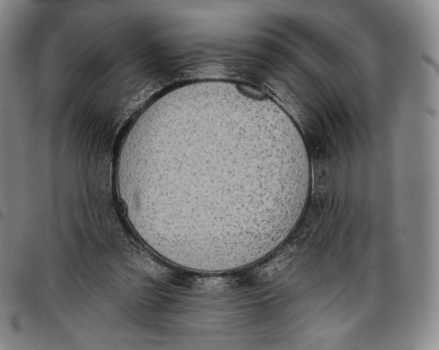 X0000096630301200802191203