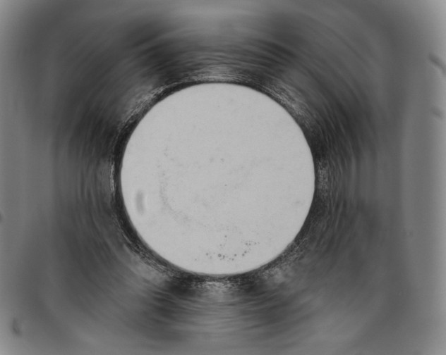 X0000096630302200802191203