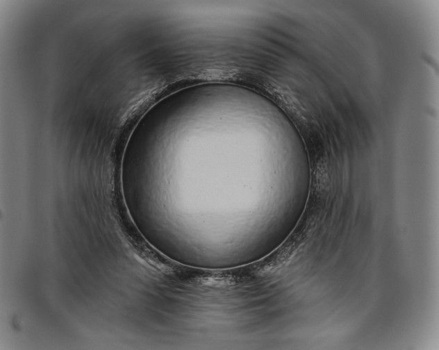 X0000096630303200802191203
