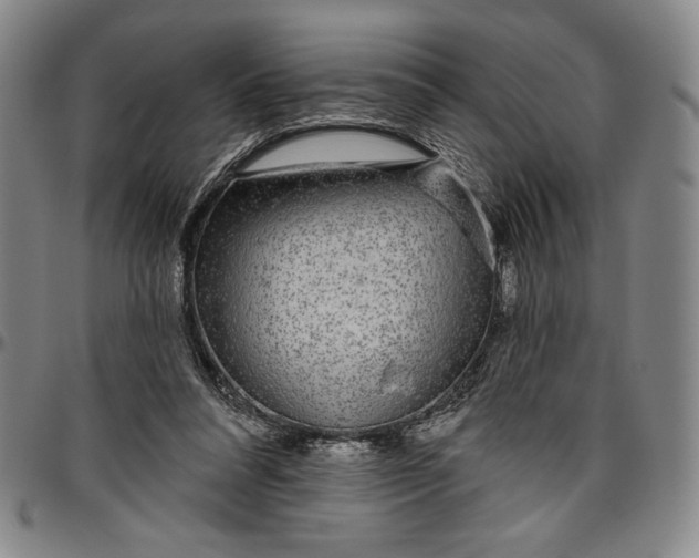 X0000096630304200802191203
