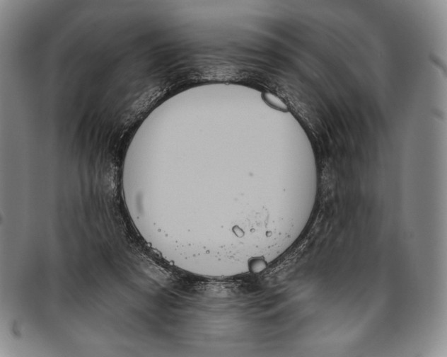 X0000096630305200802191203