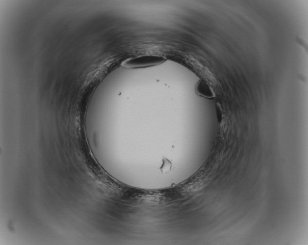 X0000096630306200802191203