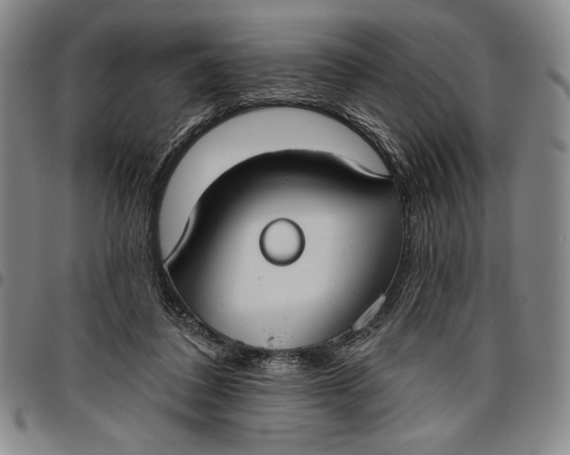 X0000096630308200802191202