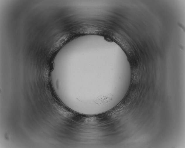 X0000096630309200802191202