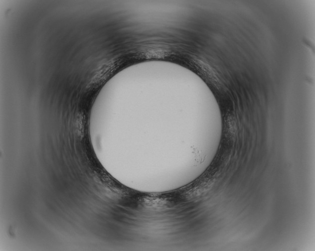 X0000096630311200802191202