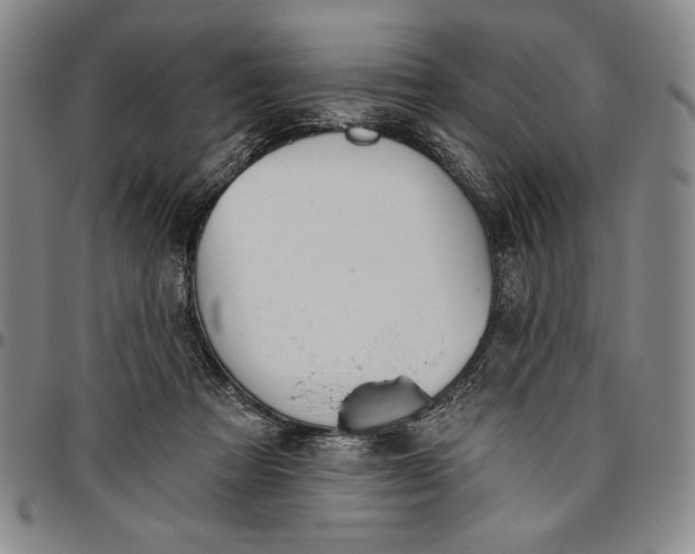 X0000096630313200802191202