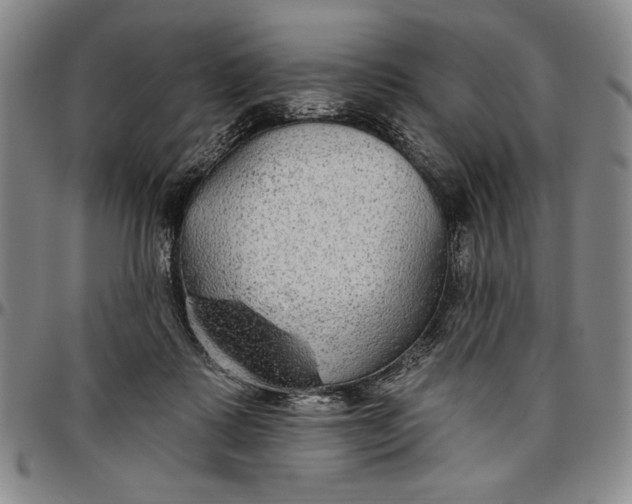 X0000096630315200802191202