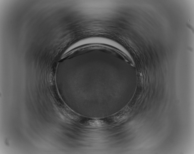 X0000096630316200802191202