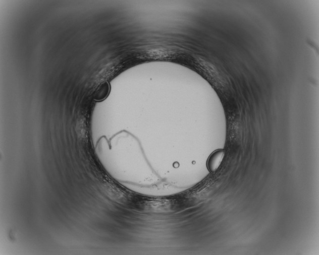 X0000096630317200802191202