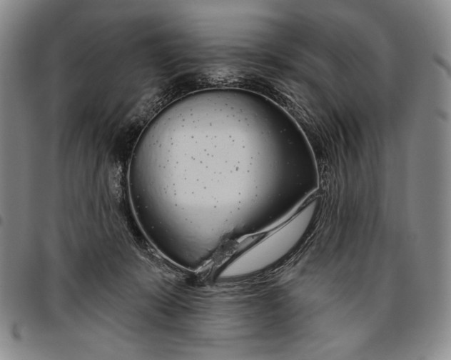 X0000096630319200802191202