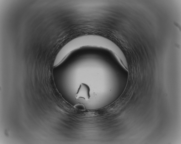 X0000096630320200802191202