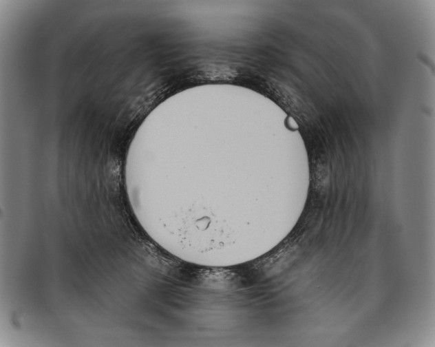 X0000096630321200802191202