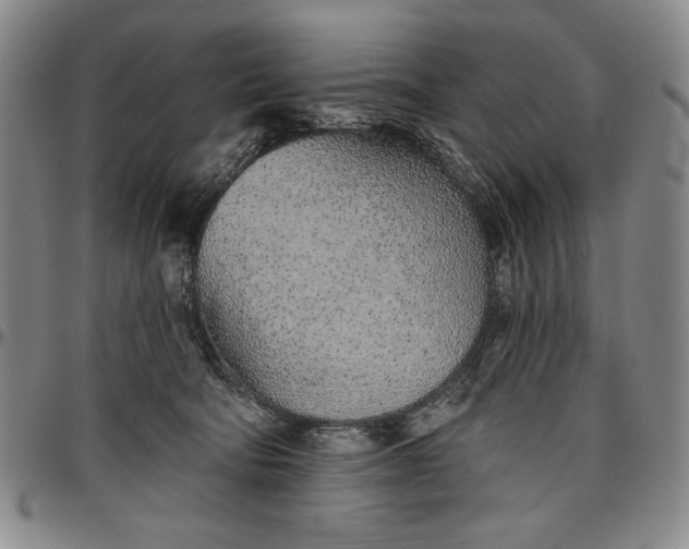 X0000096630322200802191202