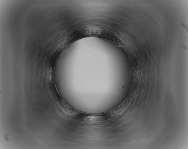X0000096630323200802191202