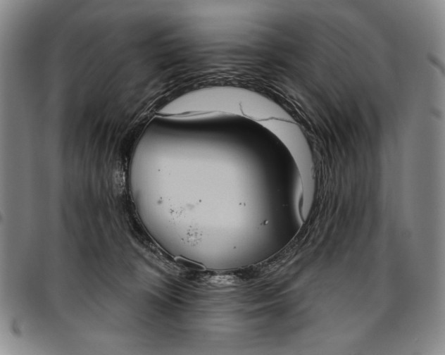 X0000096630324200802191202