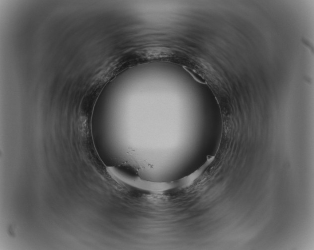 X0000096630327200802191202