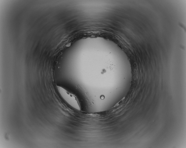 X0000096630328200802191202