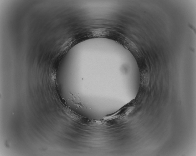 X0000096630329200802191202