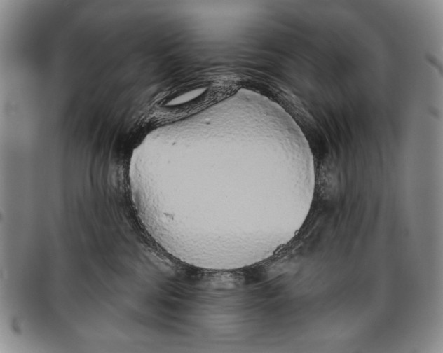 X0000096630330200802191202