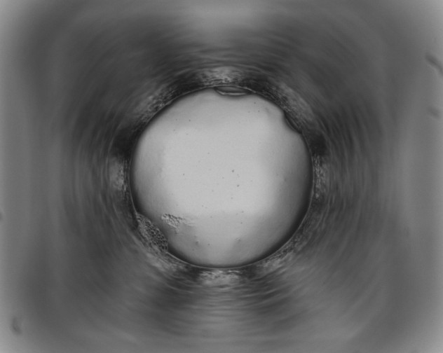 X0000096630331200802191202