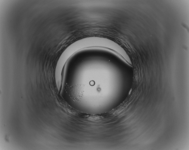 X0000096630332200802191202