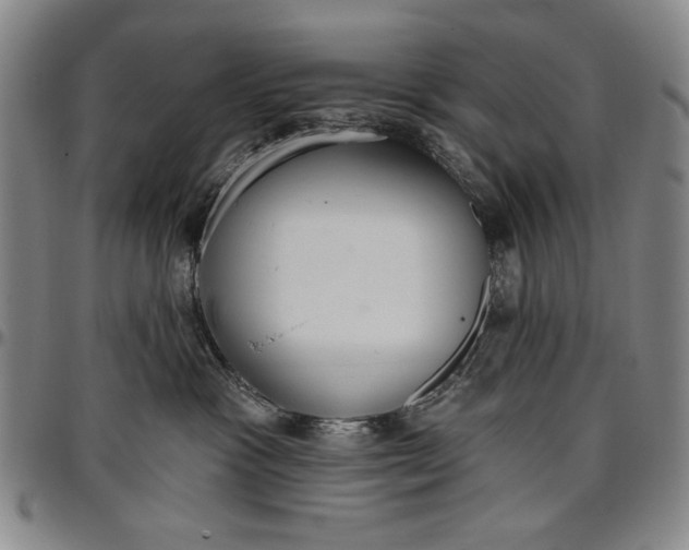X0000096630333200802191202
