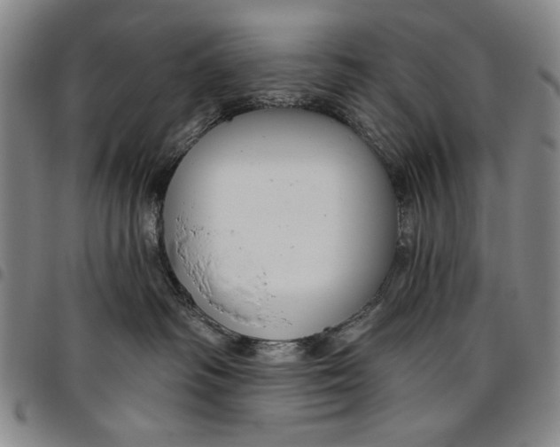 X0000096630334200802191202