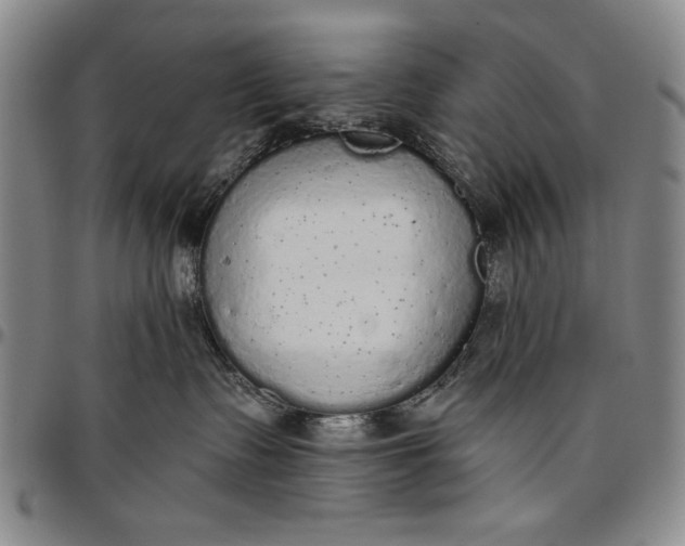 X0000096630335200802191202