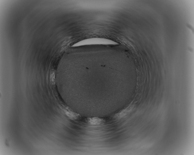 X0000096630336200802191202