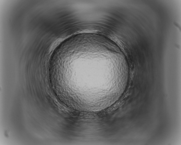 X0000096630337200802191201