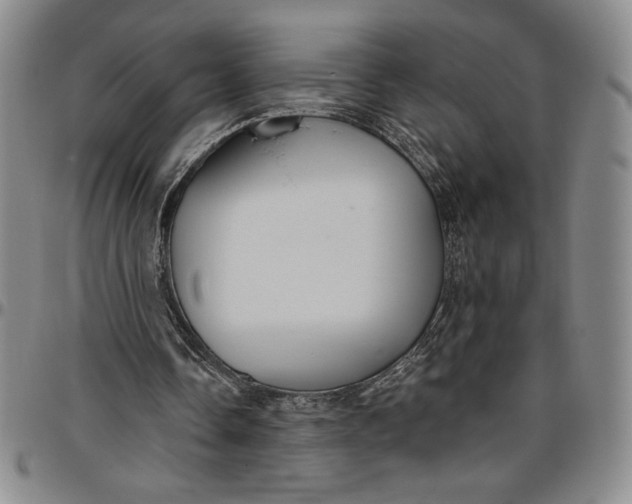 X0000096630338200802191201