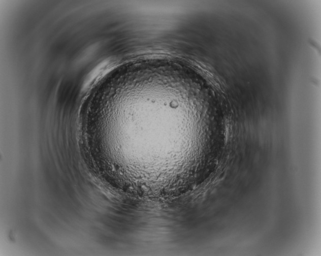 X0000096630339200802191201