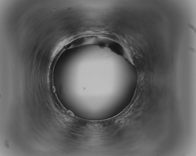 X0000096630340200802191201