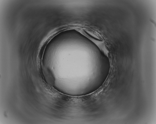 X0000096630343200802191202