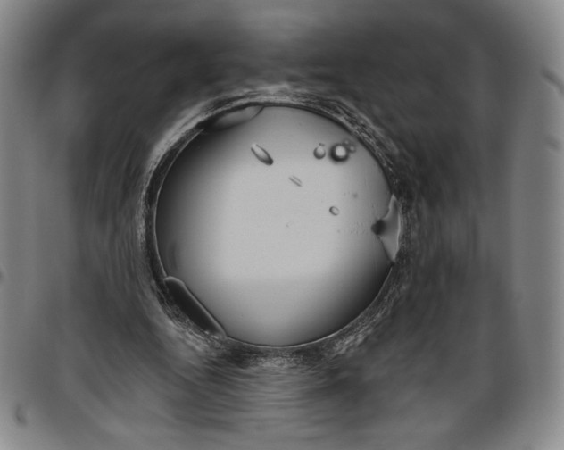 X0000096630344200802191202