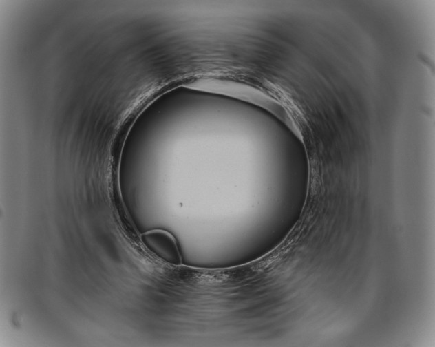 X0000096630346200802191202