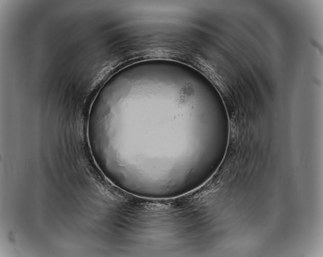X0000096630347200802191202