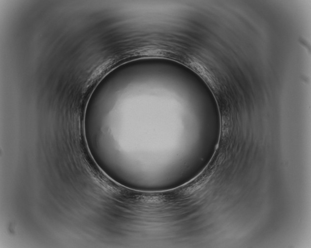 X0000096630349200802191202