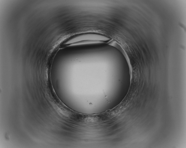 X0000096630350200802191202