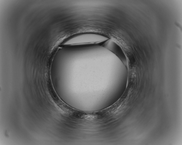 X0000096630352200802191202