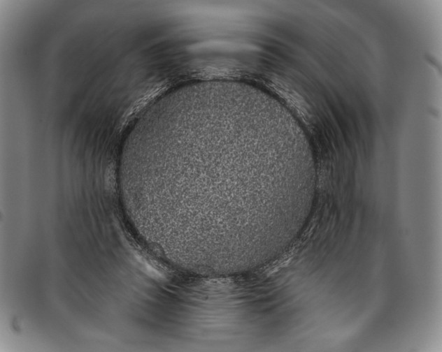 X0000096630353200802191202