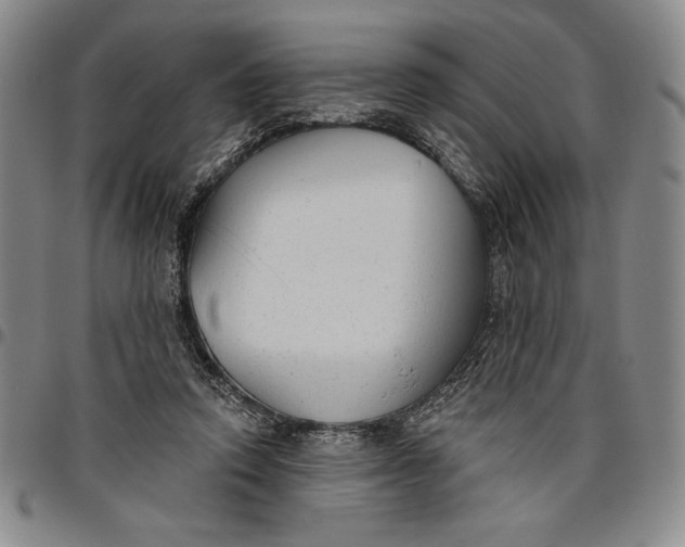 X0000096630354200802191202