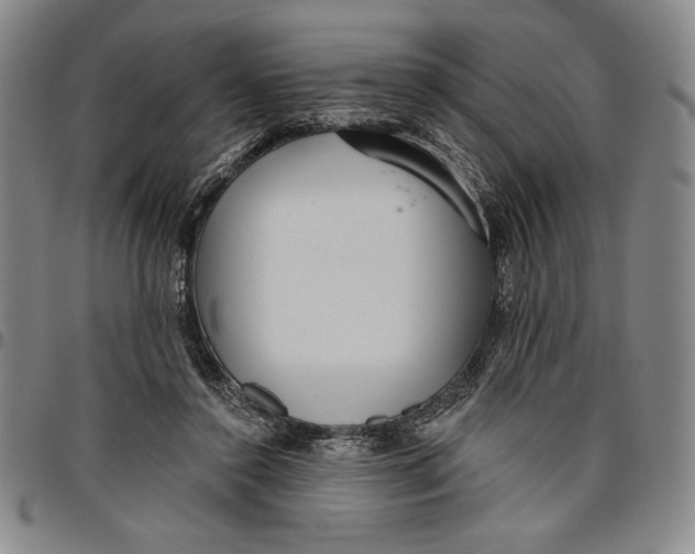 X0000096630356200802191202