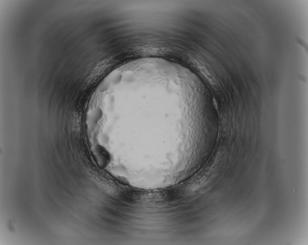 X0000096630357200802191202