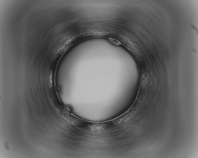 X0000096630358200802191202