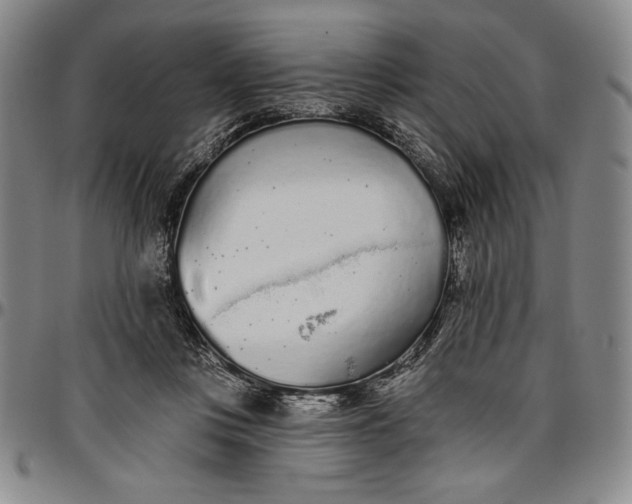 X0000096630359200802191202