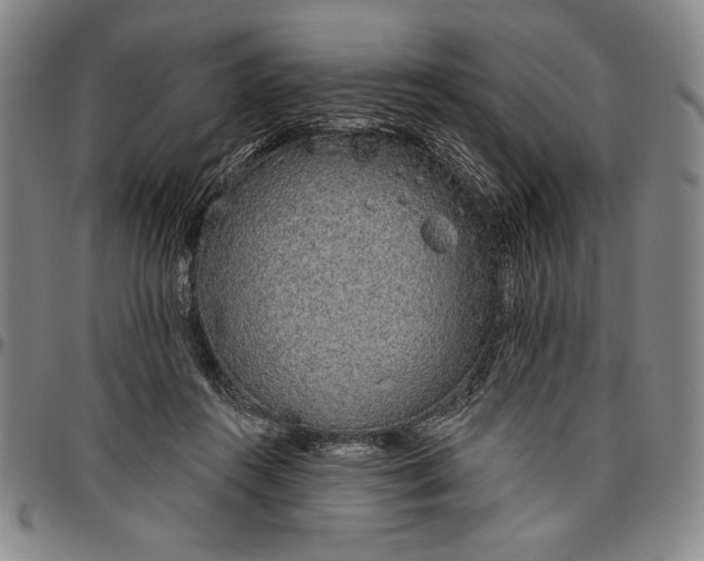 X0000096630360200802191202