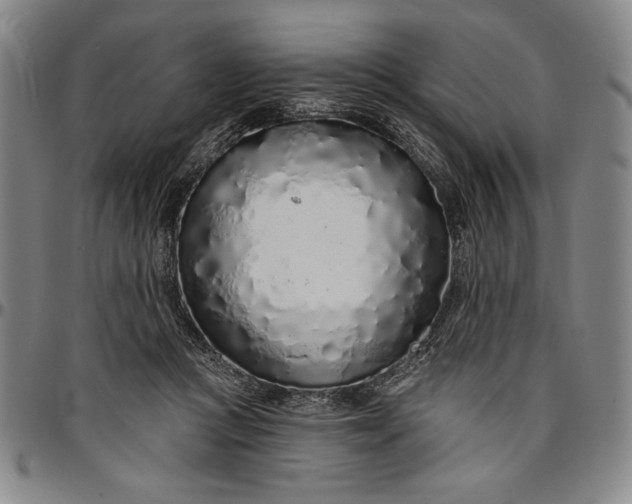 X0000096630361200802191202