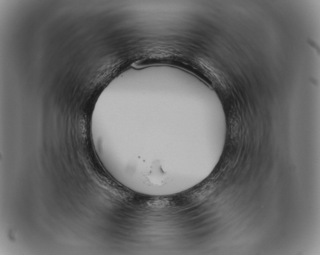 X0000096630362200802191202