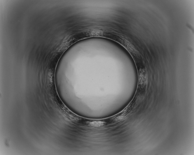 X0000096630363200802191202